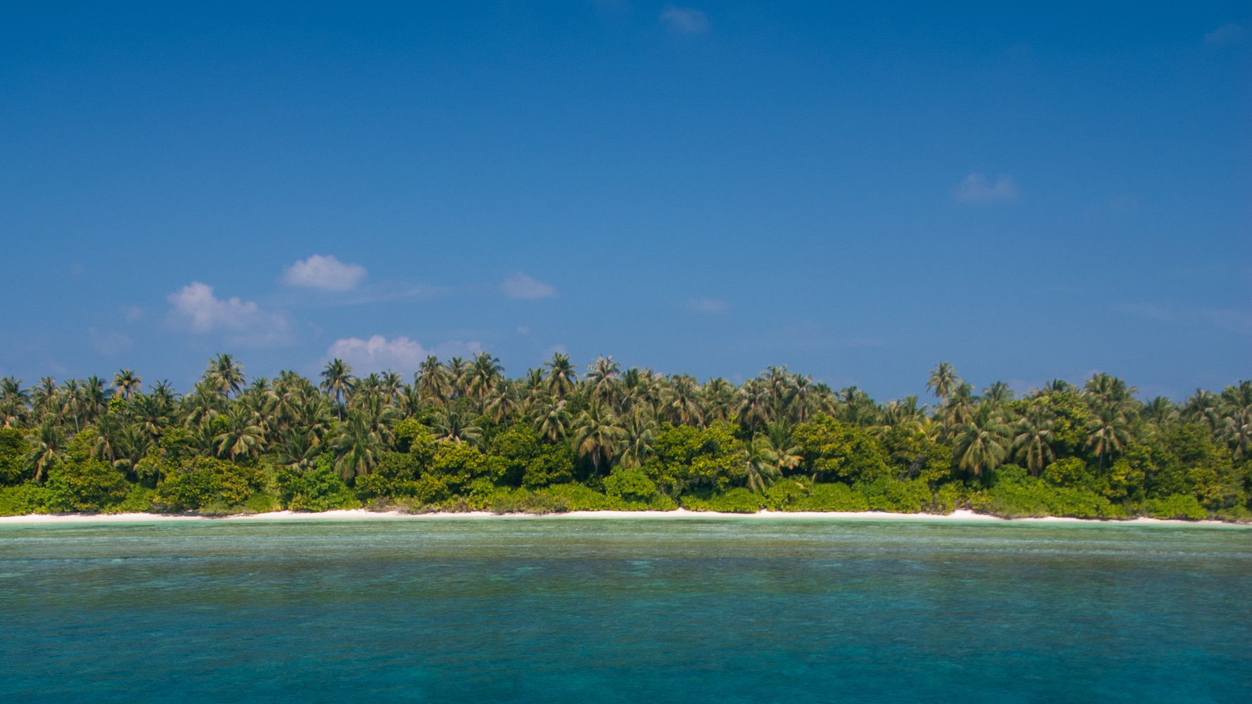 erfahrungsberichte-freiwilligenarbeit-malediven-walhaischutz-markus-ozean-strand-meer-natucate