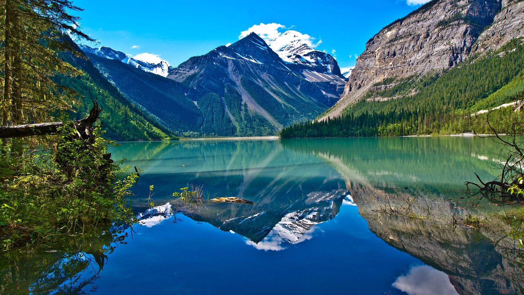 The BEST British Columbia Interactive Tours Incentive