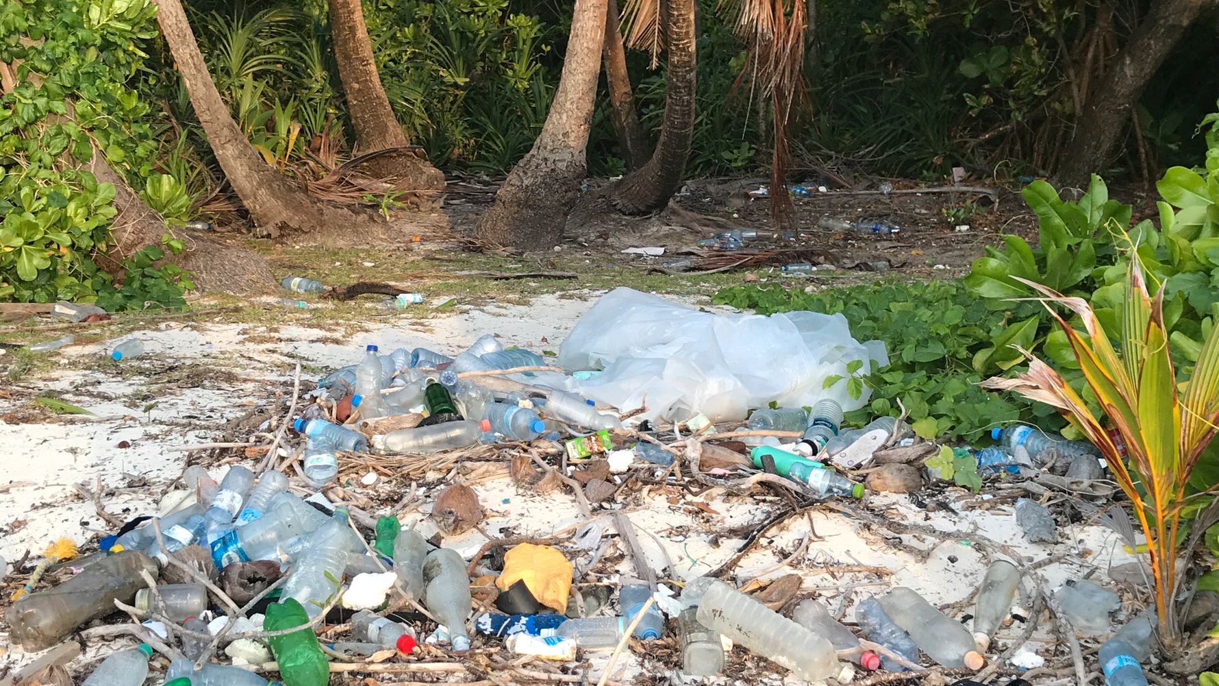 Blog – Nachhaltiges Reisen: Müll ⋅ Natucate