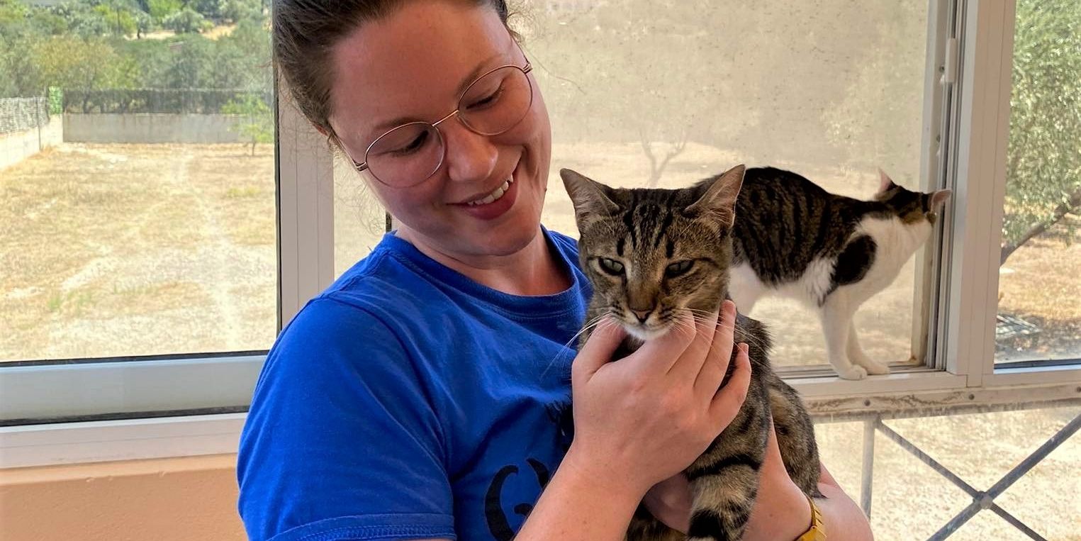 praktikum-griechenland-katzen-tiermedizin-katzen