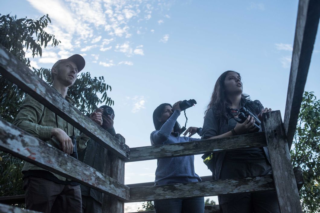 Die Teilnehmer versuchen sich von einem Holzplateau einen Ueberblick zu verschaffen