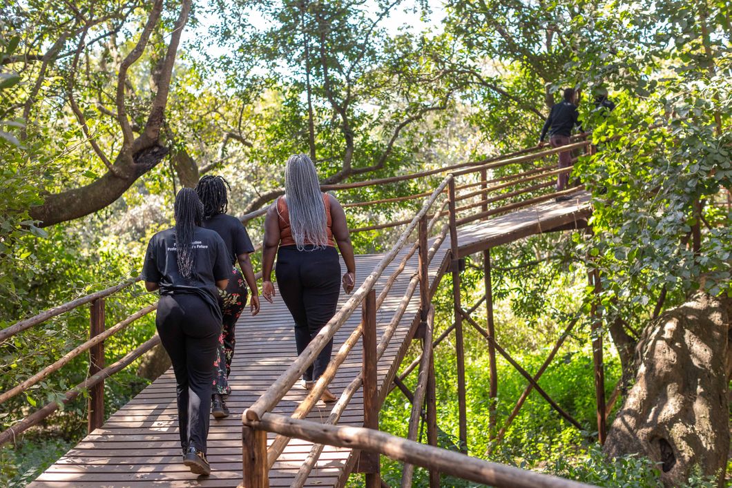 volunteering-malawi-sanctuary-walks-wooden-volunteers