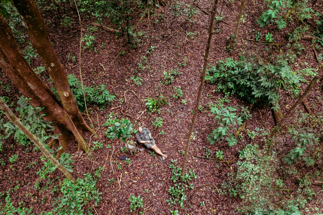 natucate-nature-travel-gabon-wilderness-trails-rainforest-rest-person