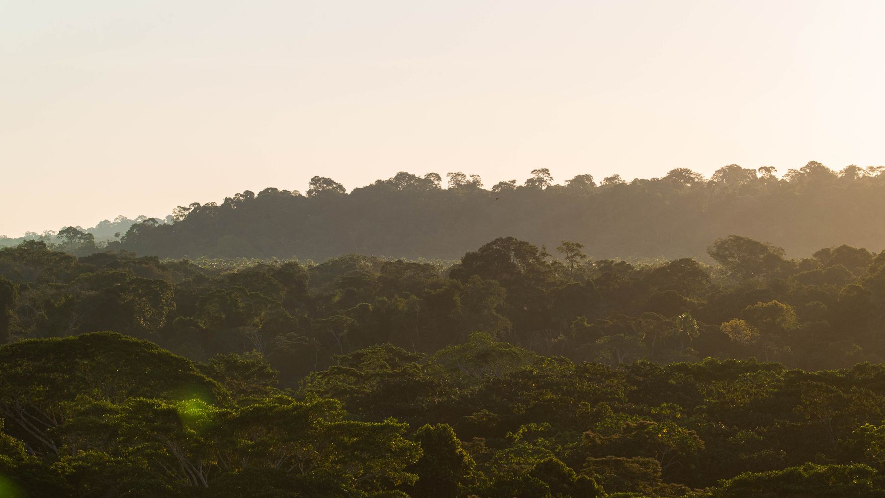 erfahrungsberichte-auslandspraktikum-sinnenswahrnehmung-peru-aida-sonnenuntergang-wald