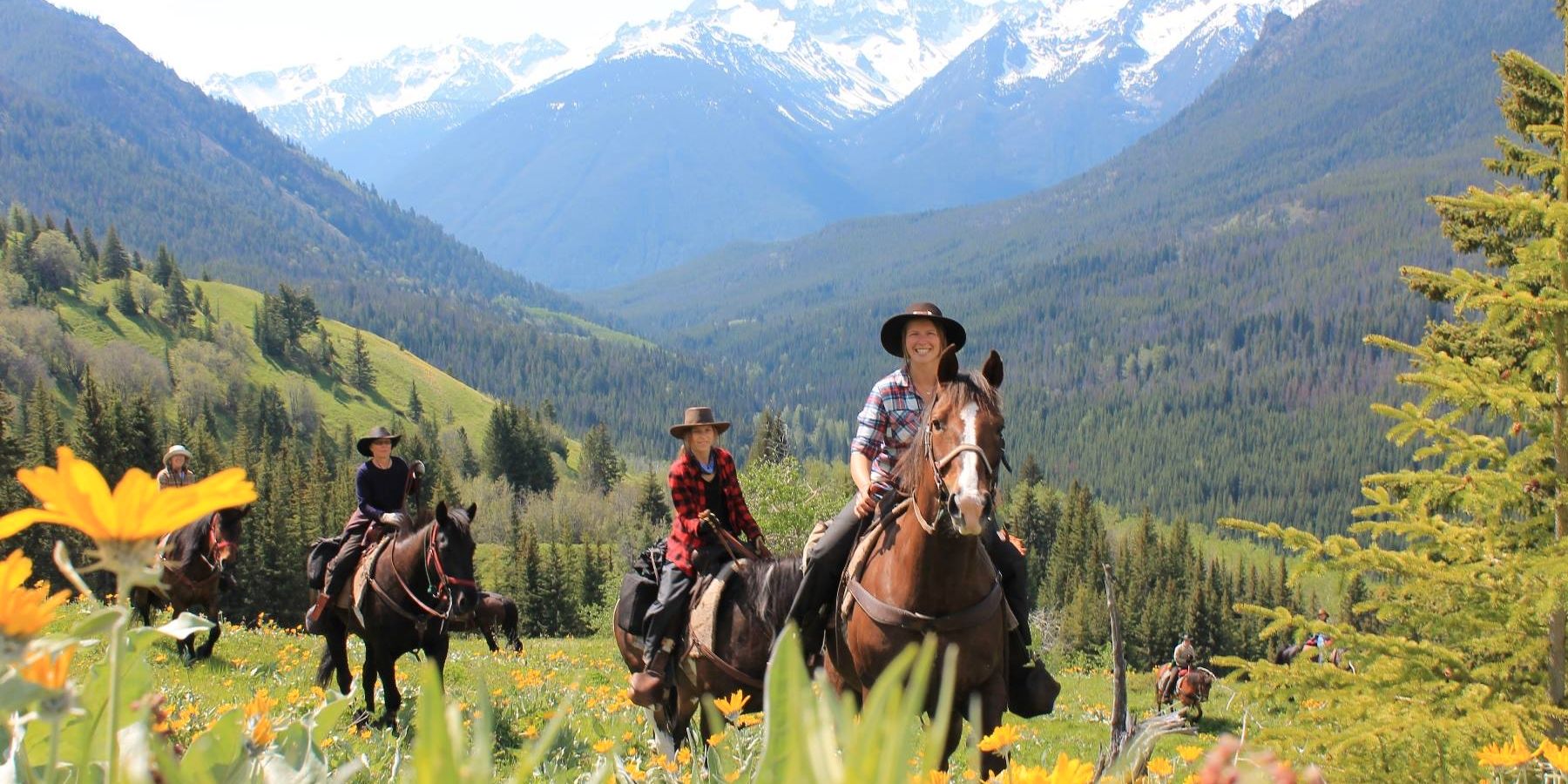 natur-und-rangerkurs-kanada-nordamerika-pferdeguide-advanced-reiter-wiese-natucate