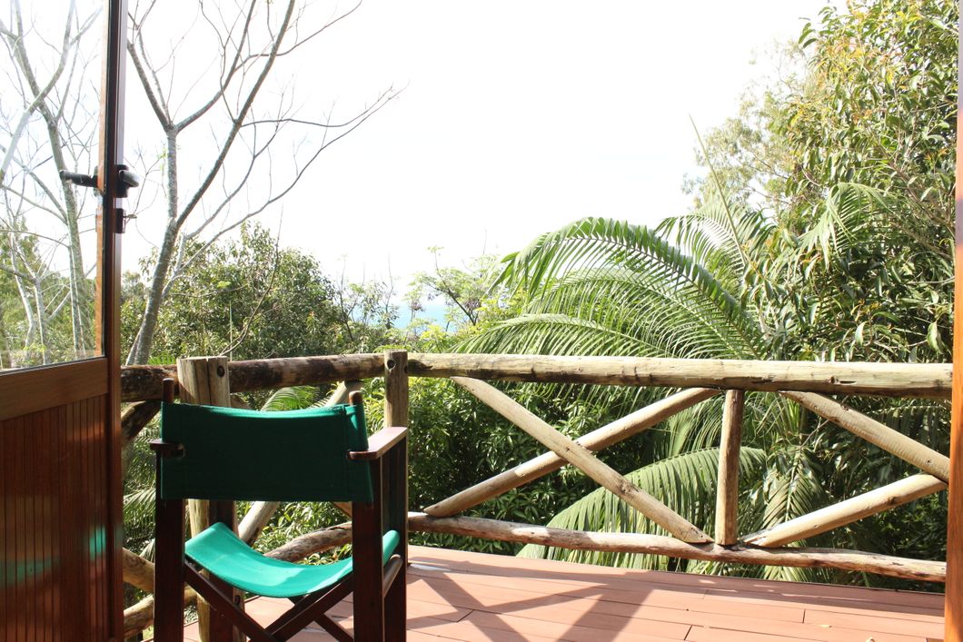View from the volunteer accommodation's patio over the tropical forests in Mauritius