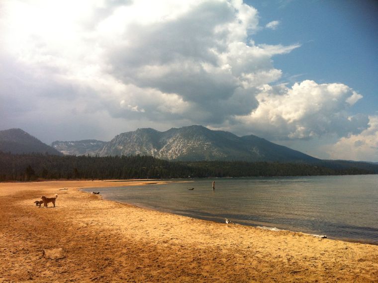 freiwilligenarbeit-usa-kalifornien-erfahrungsbericht-naturschutz-kueste-natucate