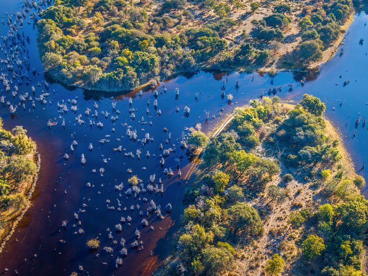 safari-expedition-botswana-setari-khwai-okavango-above