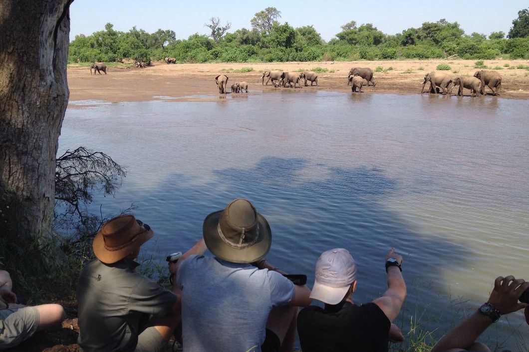 Eine Teilnehmergruppe sitzt am Rande eines Wasserlochs und beobachten eine Elefantenherde beim Trinken