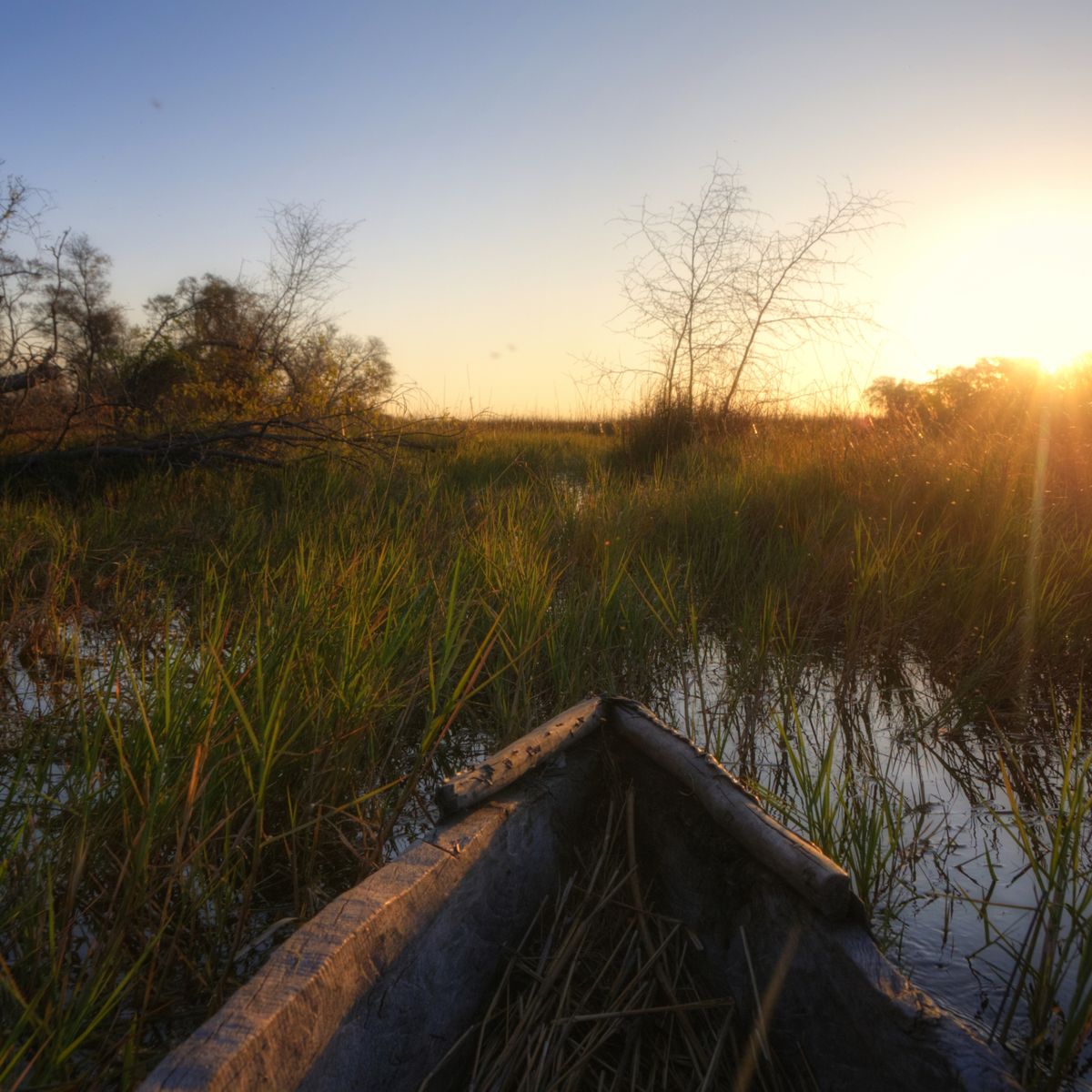 natur-und-rangerkurs-botswana-afrika-fieldguide-guide-mokoro-sonne-natucate