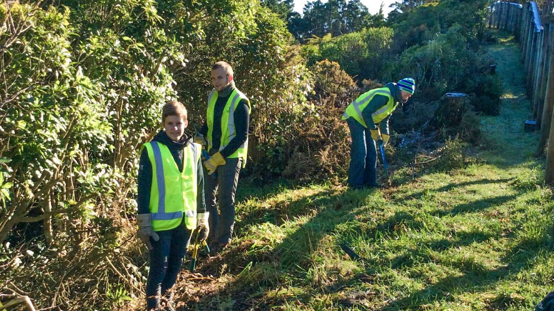 Mehrere Volunteere arbeiten zum Naturschutzerhalt auf einem Feld in Neuseeland