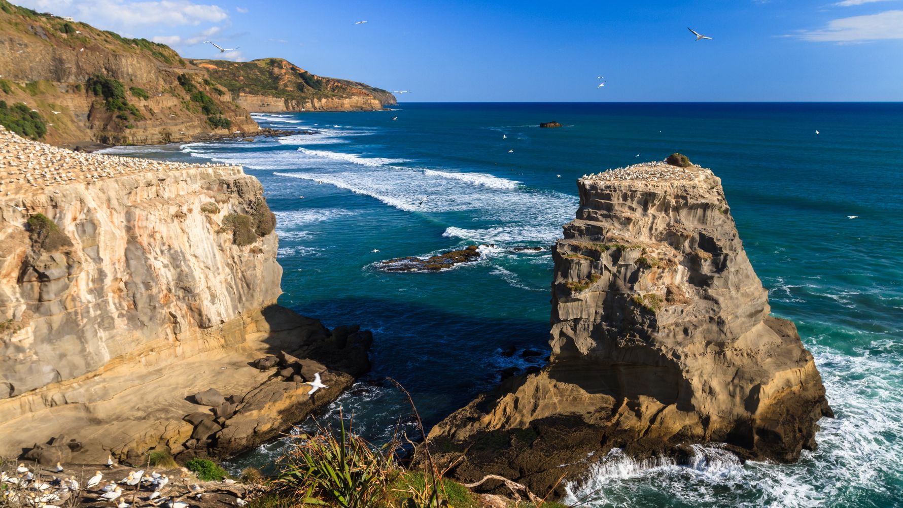 Australien Freiwilligenarbeit: Blick von der Kueste Australiens aufs Meer