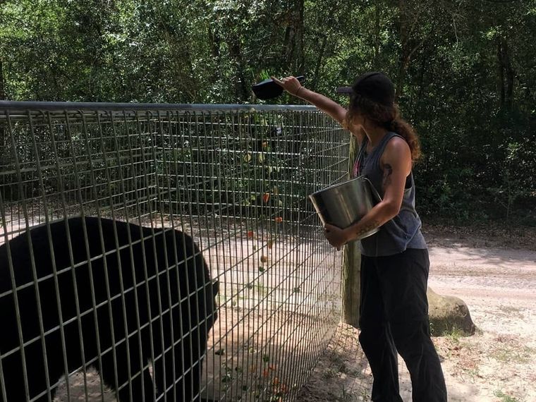 erfahrungsbericht-usa-florida-wildlife-vor-ort-tierschutz-futter-natucate