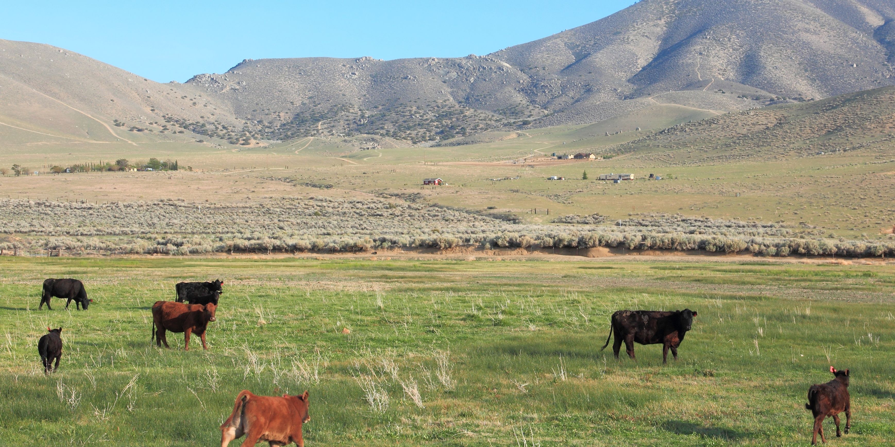Eine Holzhuette errichtet auf einer grossen freien Ebene vor einem Bergmassiv