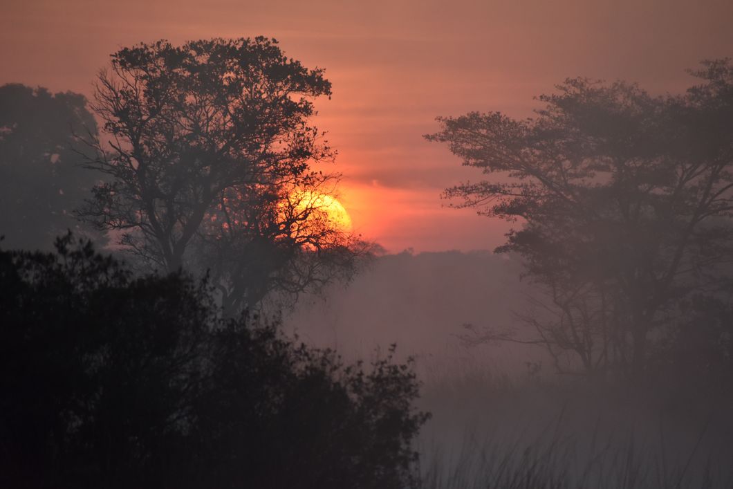 Die untergehende Sonne in Sambia; der Himmel ist rot gefaerbt, im Vordergrund sind Silhouetten von Baeumen und Bueschen