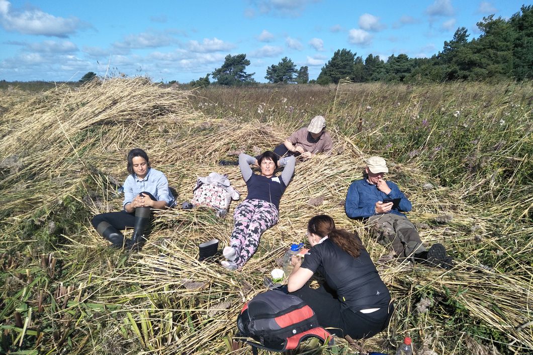 Gruppe von Naturschutz-Volunteers des Freiwilligenprojekts in Estland legt eine Pause ein