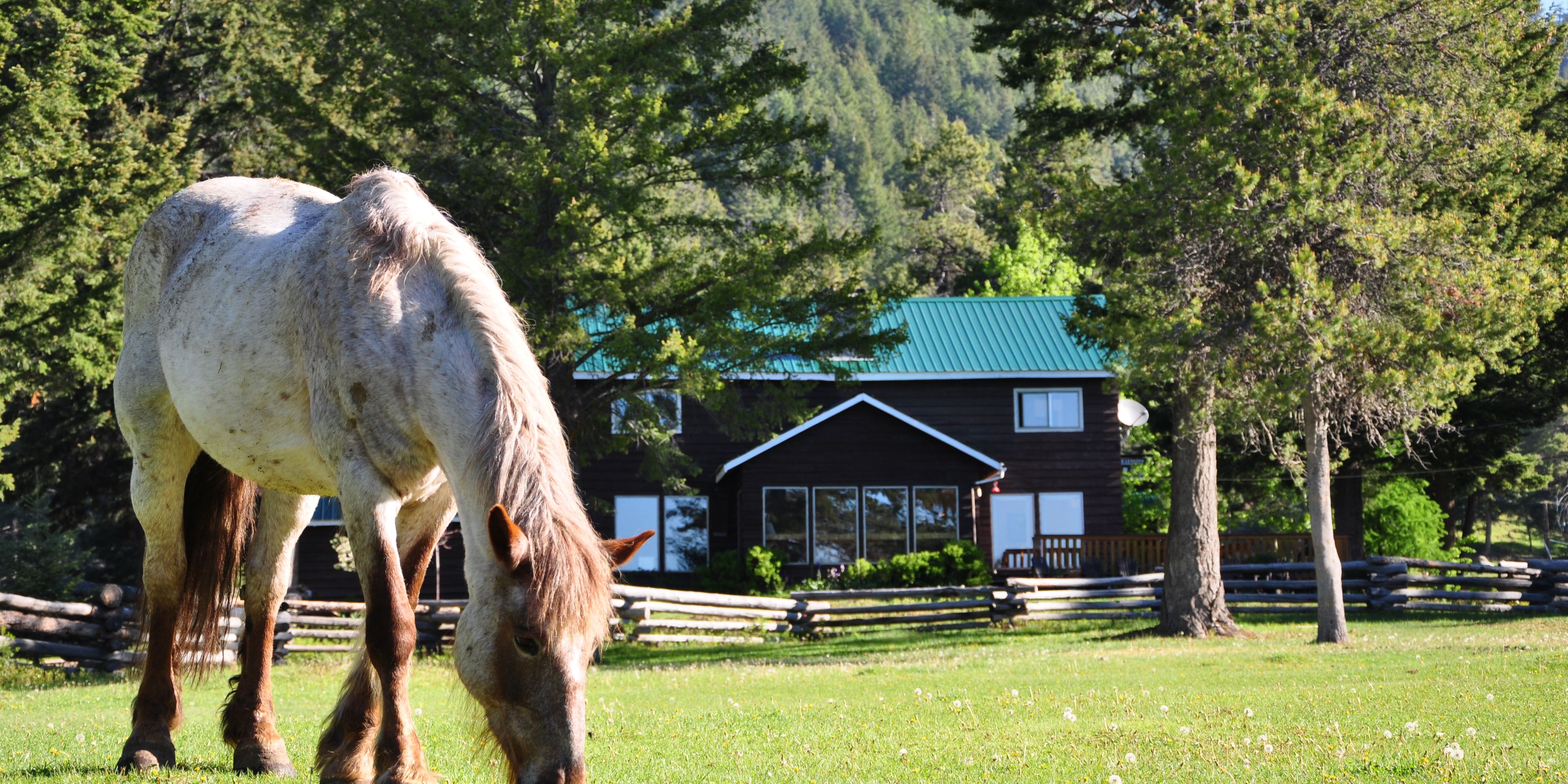 natur-und-rangerkurs-kanada-nordamerika-pferdeguide-guide-pferde-reiten-pferd-ranch-natucate