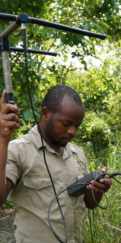 natucate-volunteering-malawi-wildlife-monitoring-tracking-bush