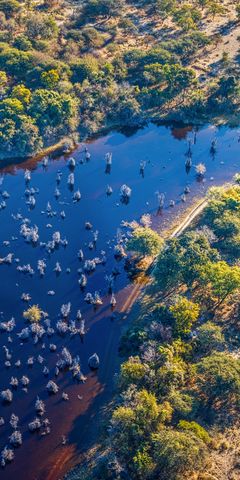 safari-expedition-botswana-setari-khwai-okavango-above