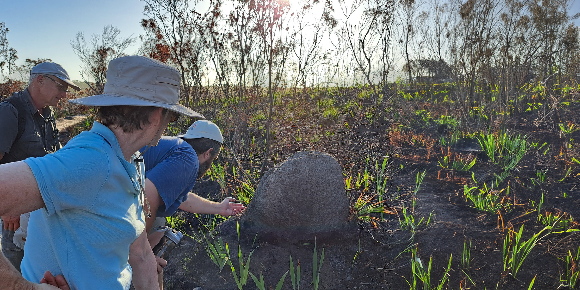 natucate-internship-south-africa-nature-valley-trust-learning-forest-tracking