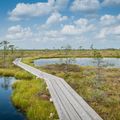 Estonia's Soomaa National Park is well-known for its idyllic swamp landscapes