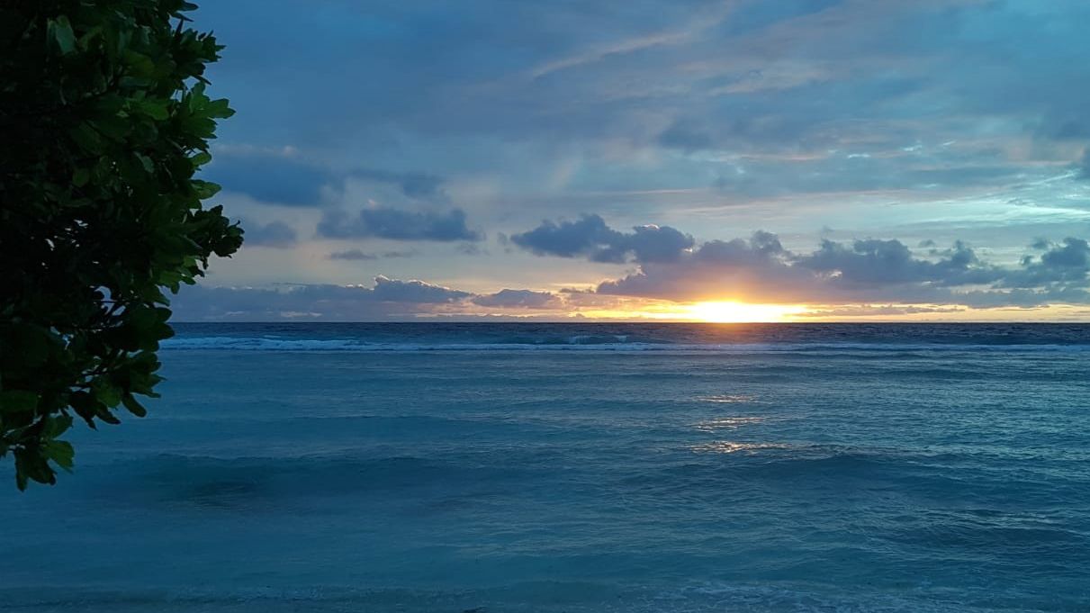 erfahrungsbericht-freiwilligenarbeit-walhaischutz-malediven-sara-abend-natucate