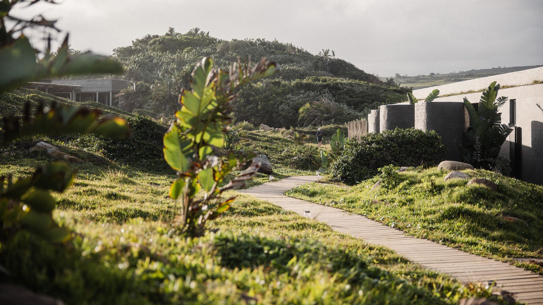 Nature around the Gwe Gwe Beach Lodge