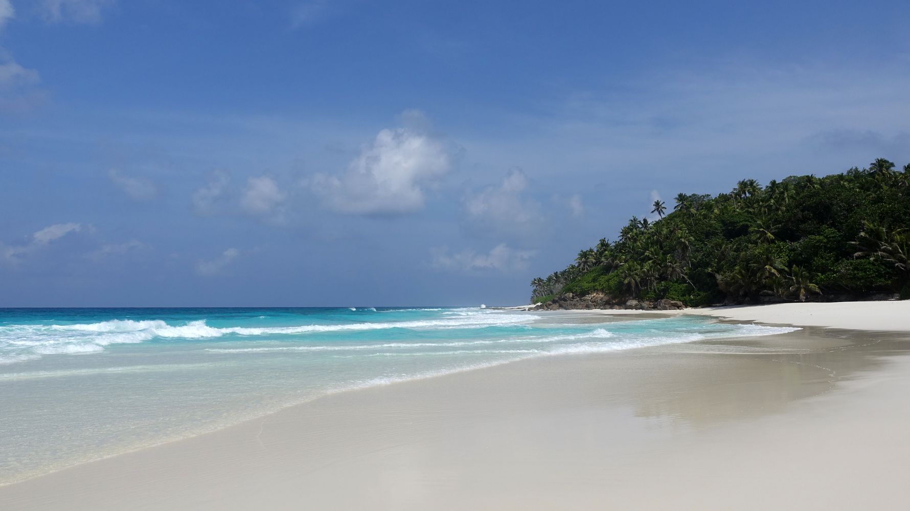 freiwilligenarbeit-seychellen-erfahrungsbericht-strand-artenschutz-natucate