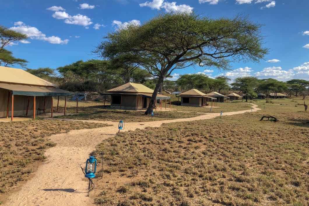 natur-und-rangerkurs-tansania-afrika-safariguide-camp-path-natucate