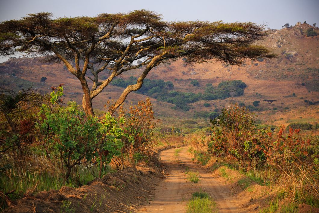 natucate-internship-malawi-wildlife-lilongwe-landscape