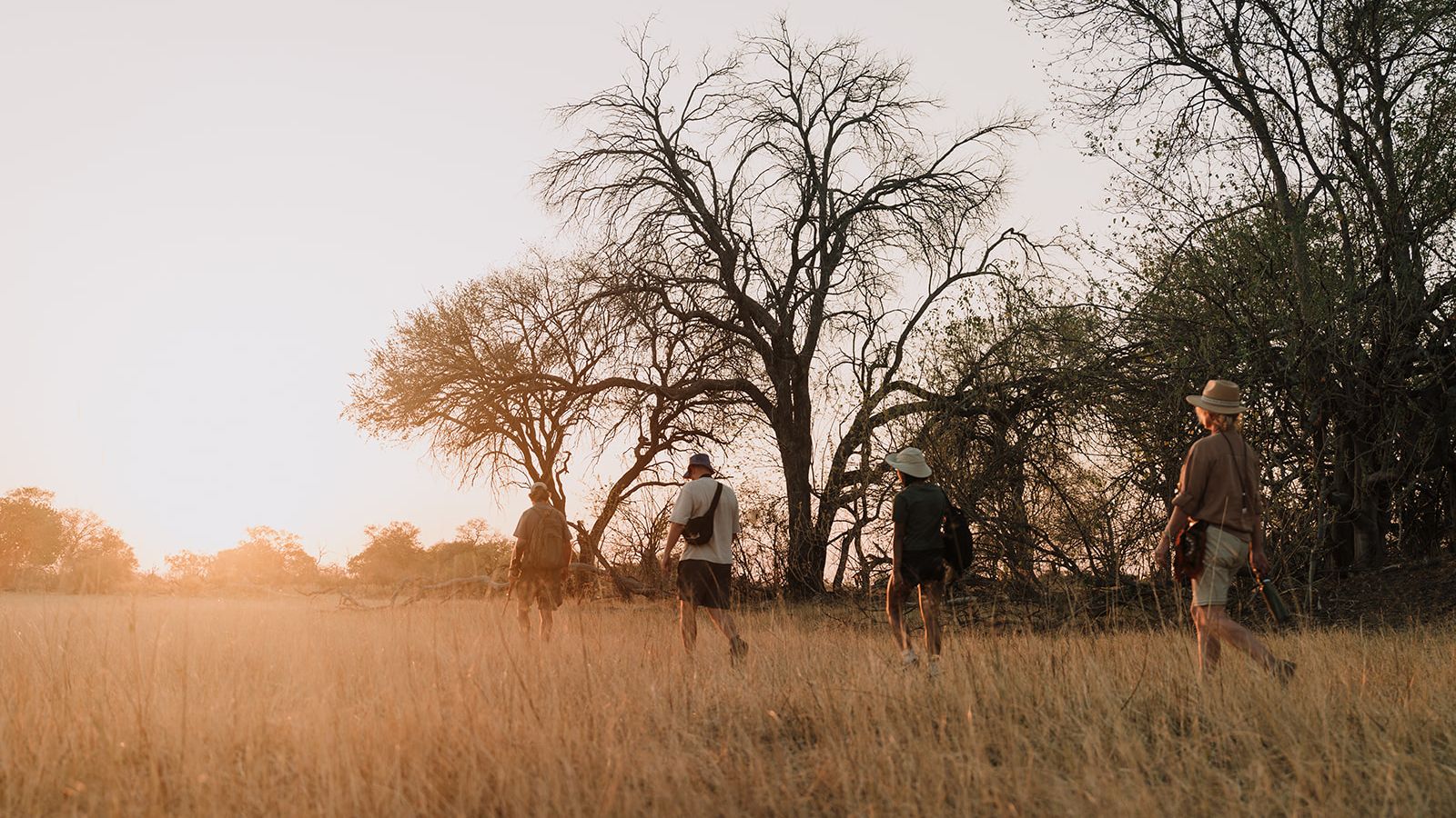 natucate-blog-pr-trip-alice-nature-bush-walk