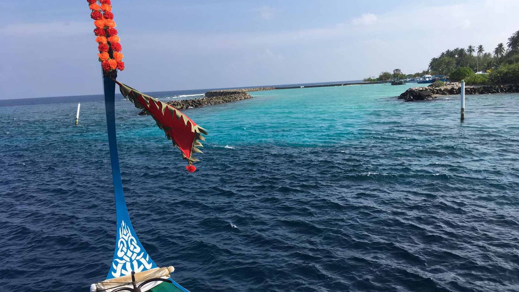 freiwilligenarbeit-malediven-erfahrungsbericht-kundenfotos-artenschutz-kueste-natucate