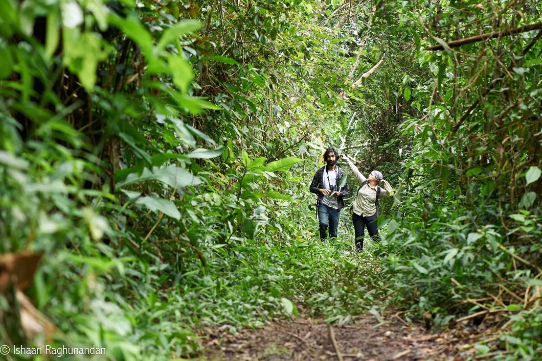 Zwei Studenten des Natur- und Rangerkurses wandern durch den Regenwald in Suedamerika