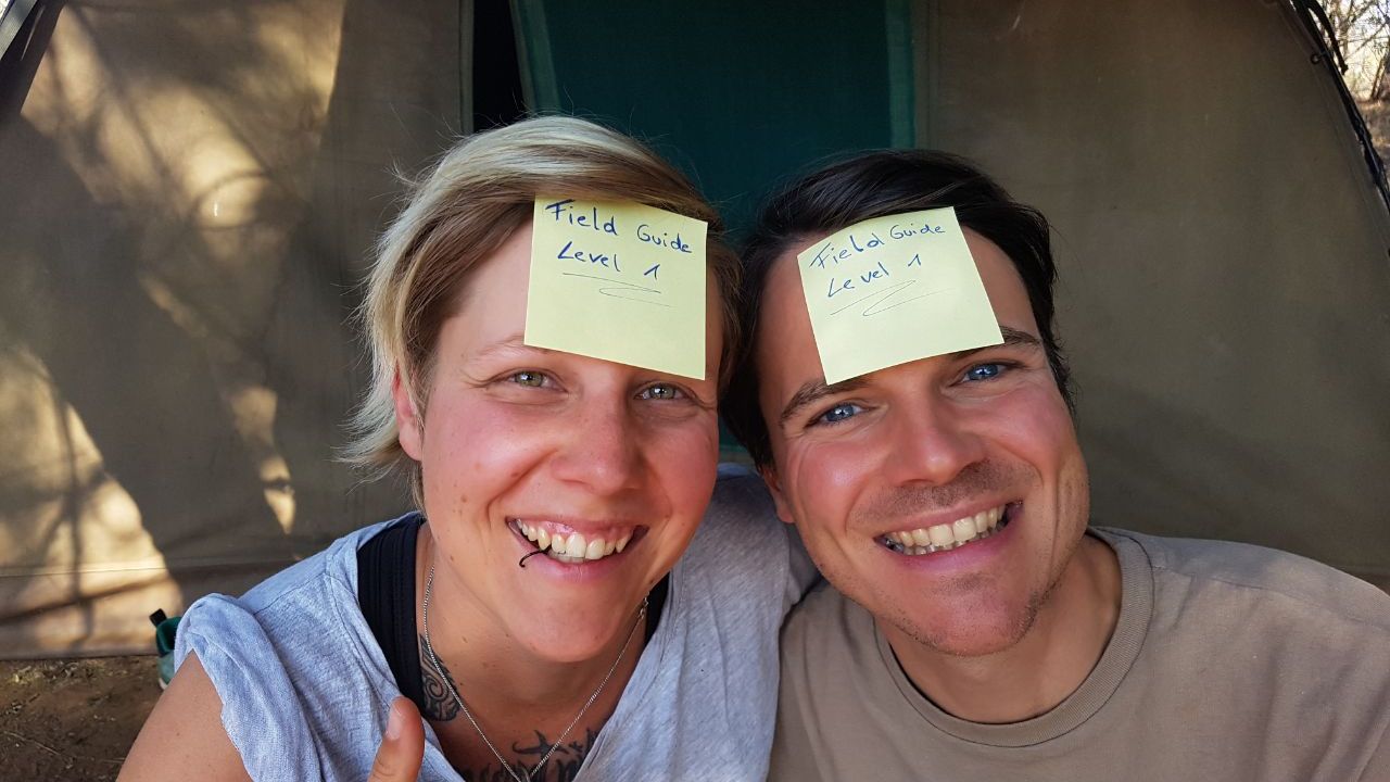 erfahrungsberichte-suedliches-afrika-field-guide-rangerausbildung-elefant-natucate