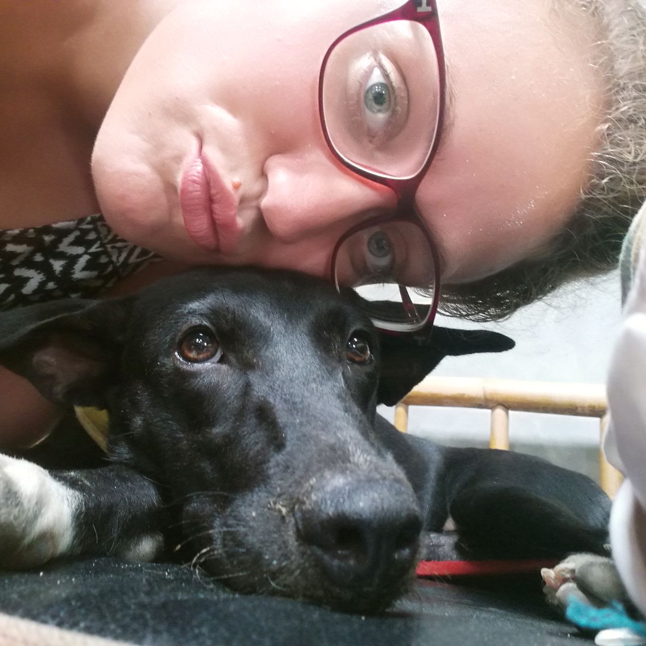 Freiwilligenarbeit: Eine freiwillige Helferin mit einem Hund im Tierheim