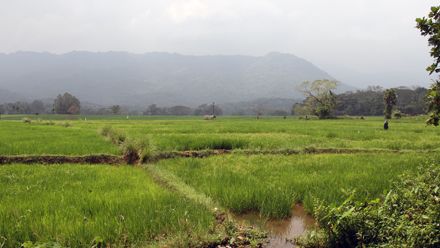 freiwilligenarbeit-asien-sri-lanka-projektbesuch