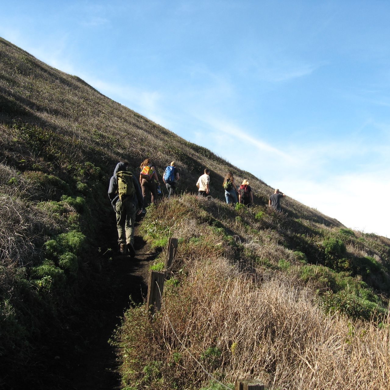 freiwilligenarbeit-usa-kalifornien-erfahrungsbericht-naturschutz-natucate