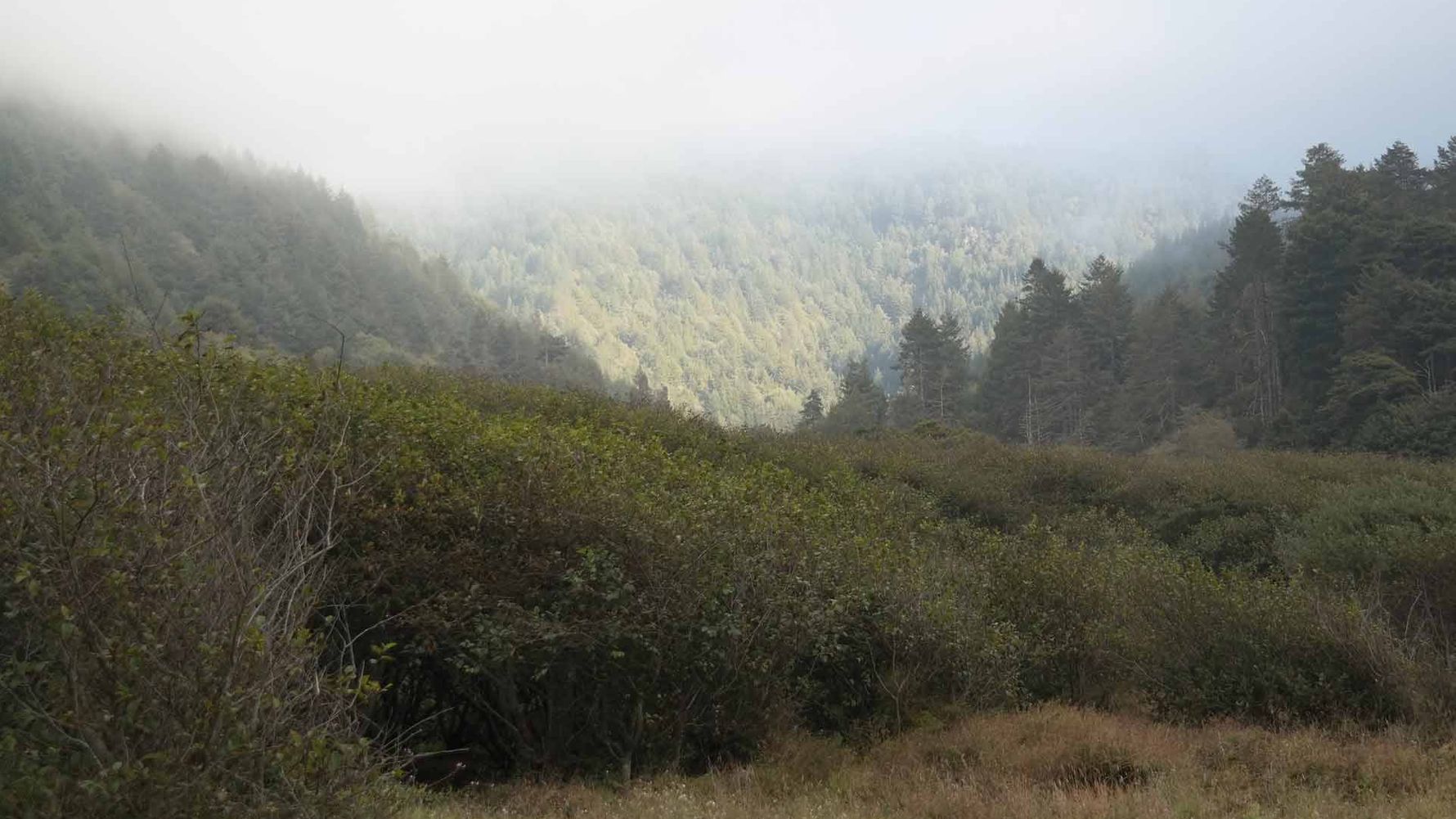 freiwilligenarbeit-usa-kalifornien-erfahrungsbericht-naturschutz-wildnis-natucate