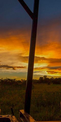 Die Studenten blicken waehrend eines Ausflugs des Rangerkurses in den botswanischen Busch auf den Sonnenuntergang