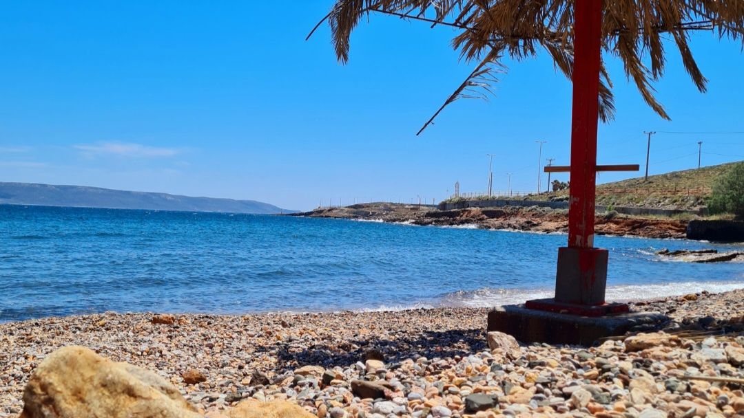 freiwilligenarbeit-griechenland-tierschutz-elli-15