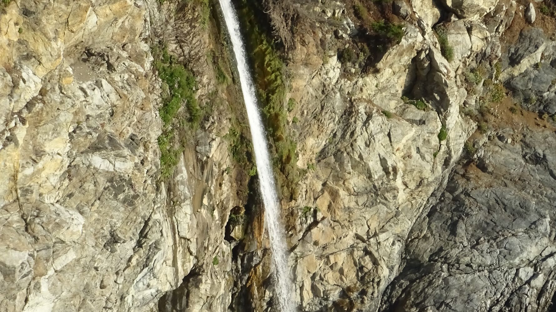 freiwilligenarbeit-usa-kalifornien-erfahrungsbericht-kundenfotos-naturschutz-natucate