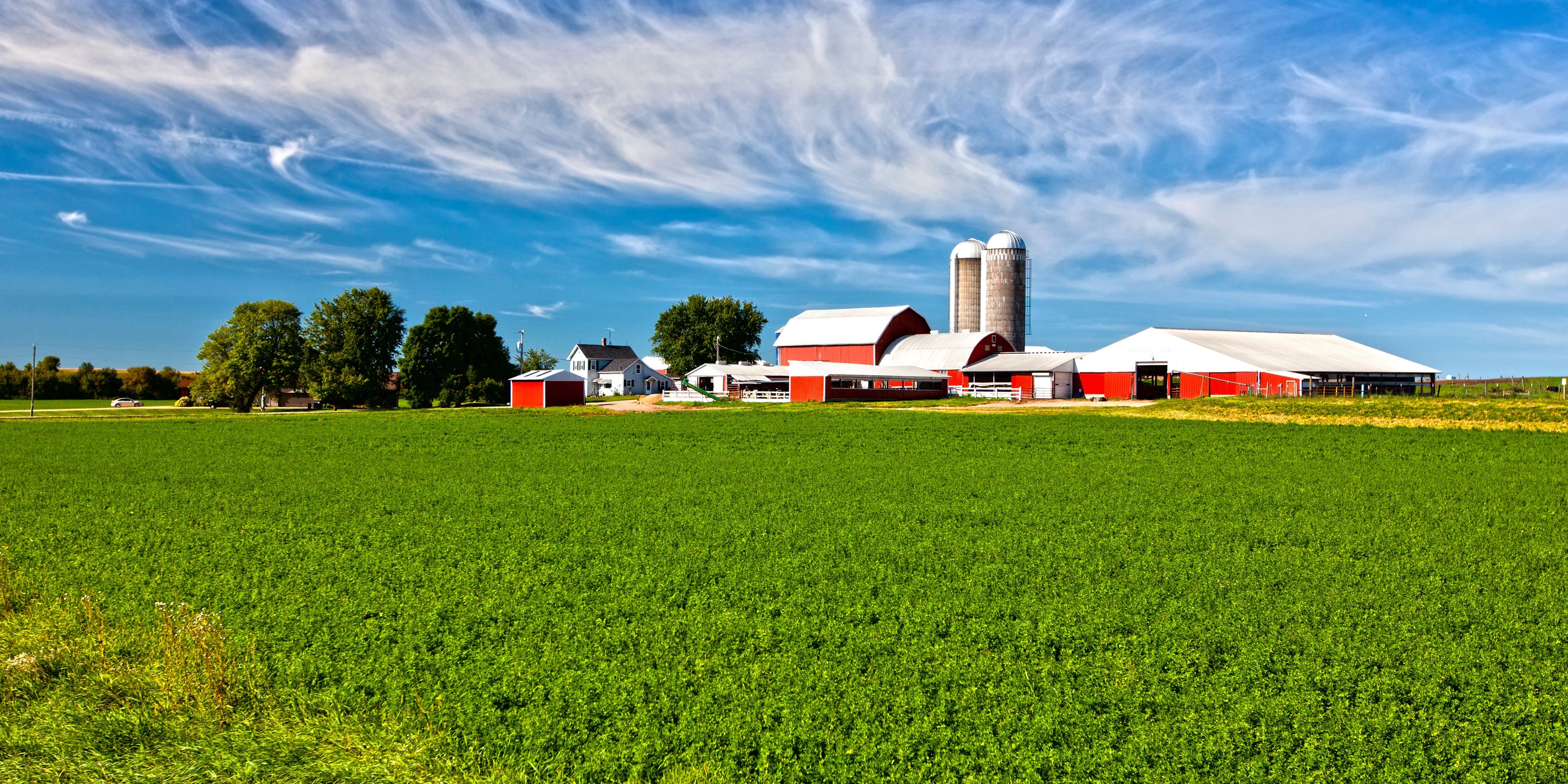 auslandspraktikum-usa-nordamerika-obstbau-farm-feld-natucate