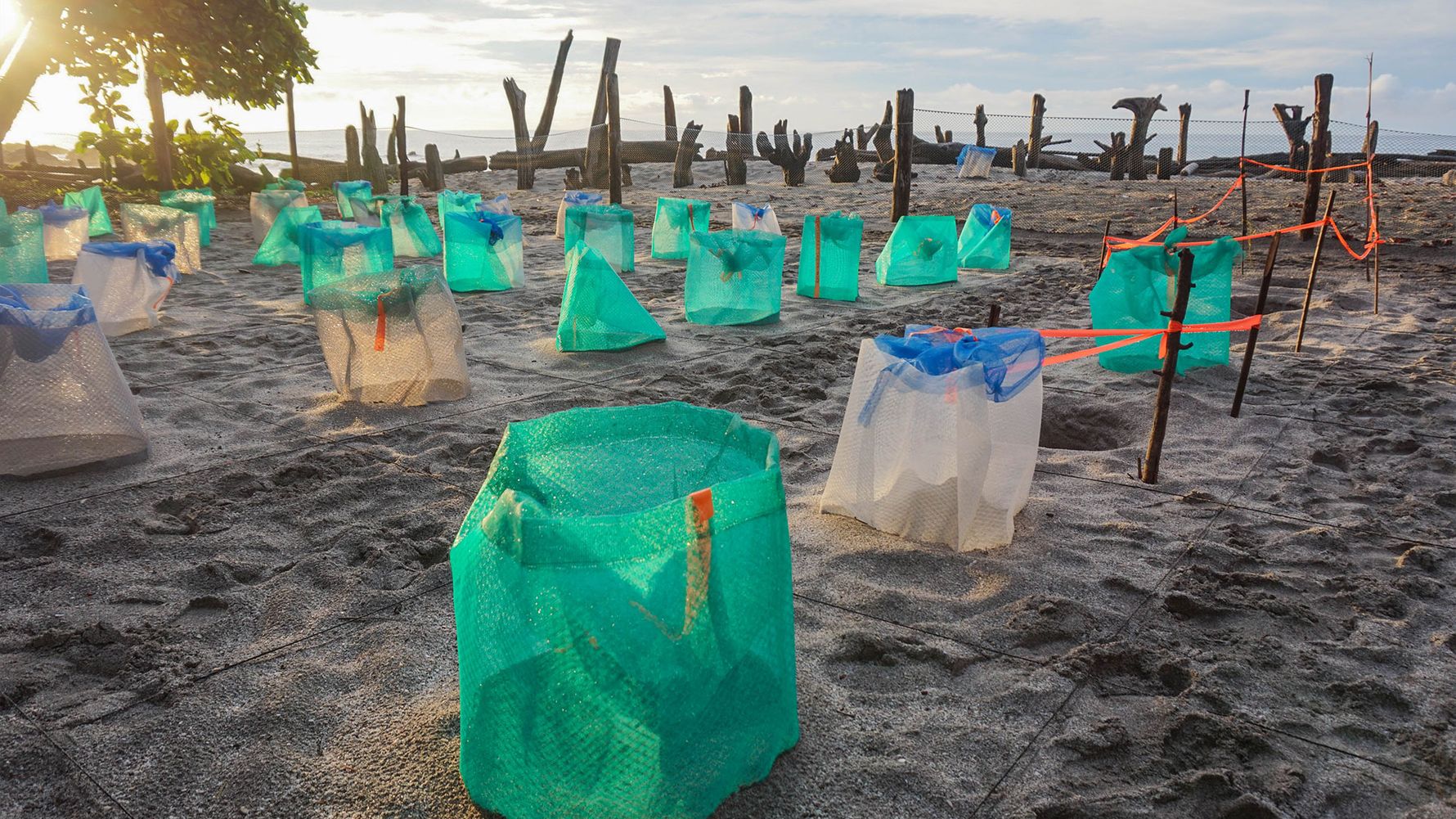 erfahrunsgbericht-costa-rica-praktikum-kundenfotos-artenschutz-lager-natucate