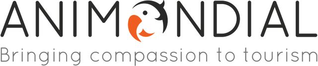 animondial-logotype-colour-strap