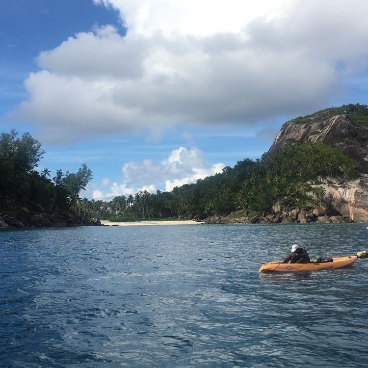 freiwilligenarbeit-seychellen-erfahrungsbericht-artenschutz-kundenfotos-meer-natucate