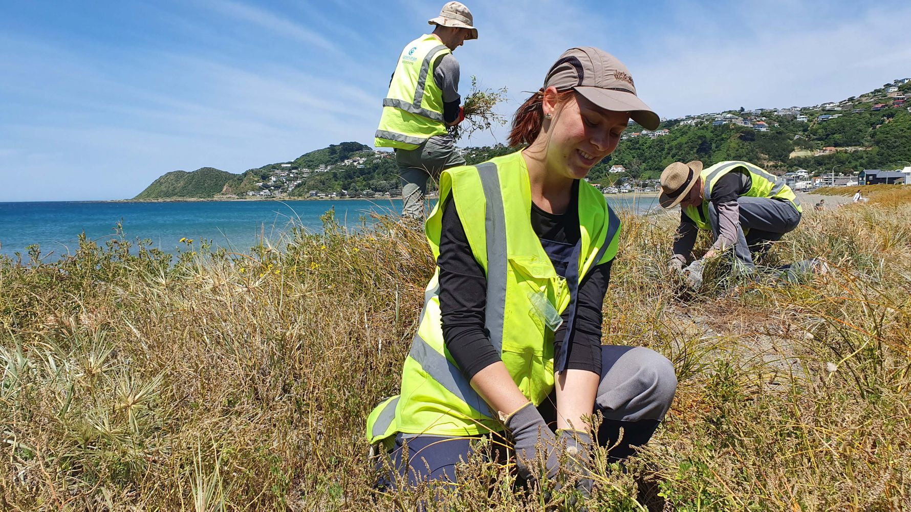 blog-ratgeber-haeufig-gestellte-fragen-freiwilligenarbeit-neuseeland-natucate