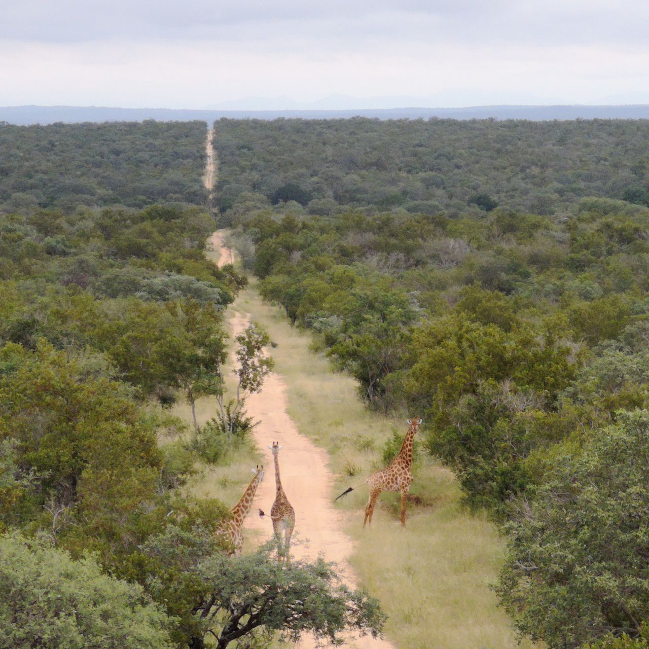 erfahrungsberichte-naturreise-suedafrika-ecoquest-caroline-aussicht-natucate