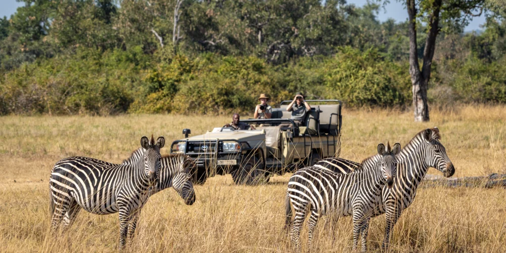 natucate-trip-zambia-safari-walking-robin-pope-nkwali-game-drive-zebras