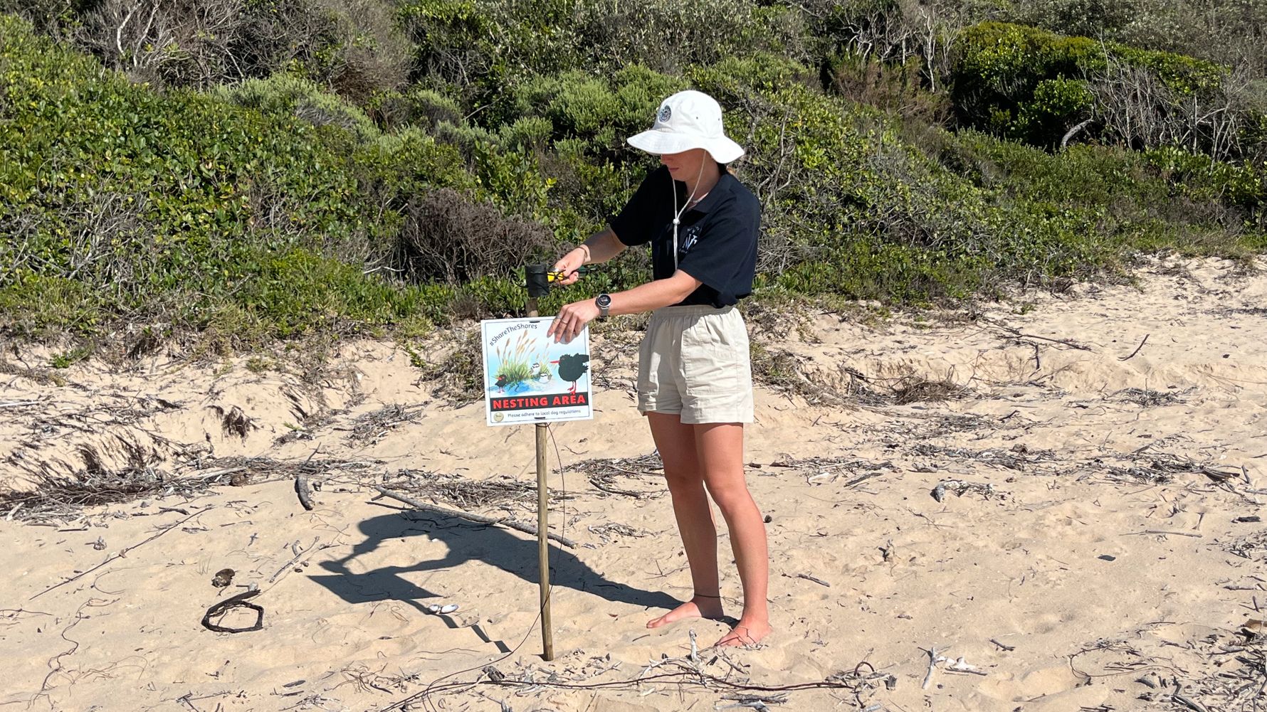 natucate-internship-south-africa-trust-forschung-strand-nesting-area