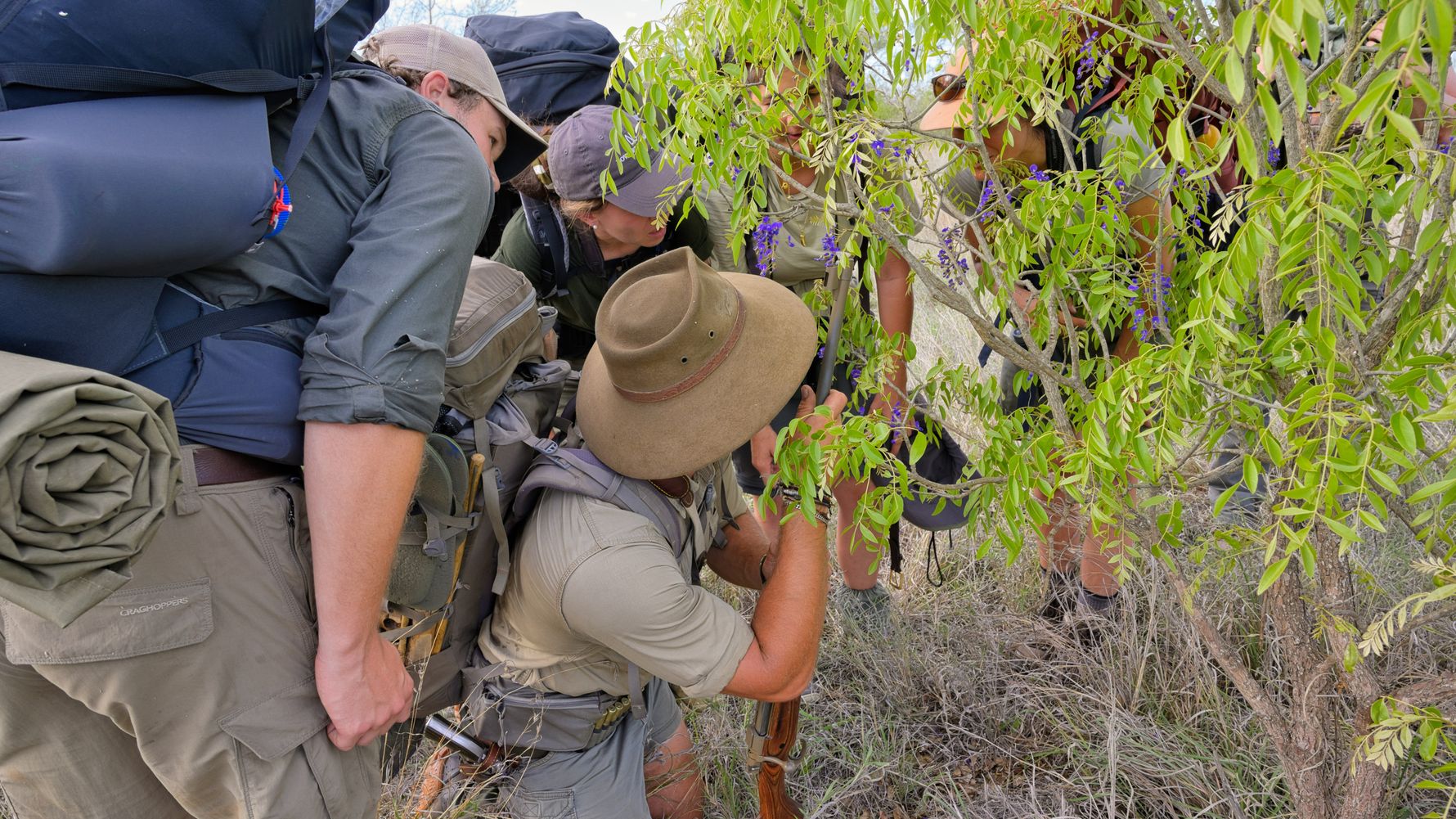 Menschen untersuchen Pflanze